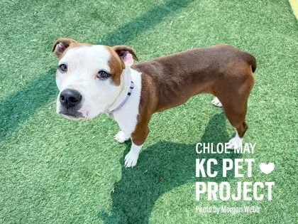 Chloe May thumbnail 3