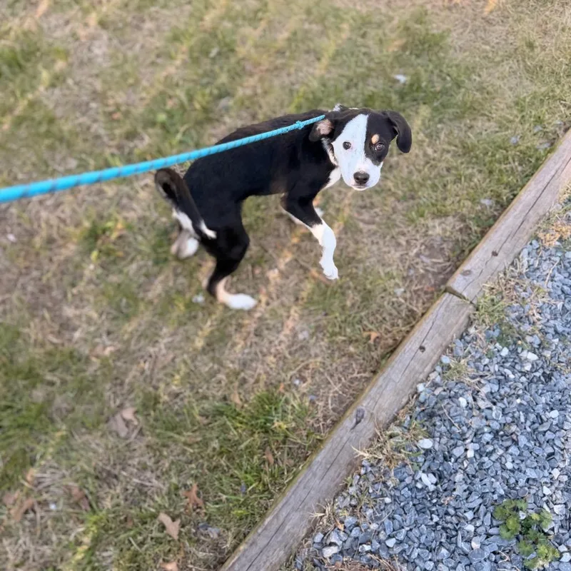 Georgieann thumbnail 2