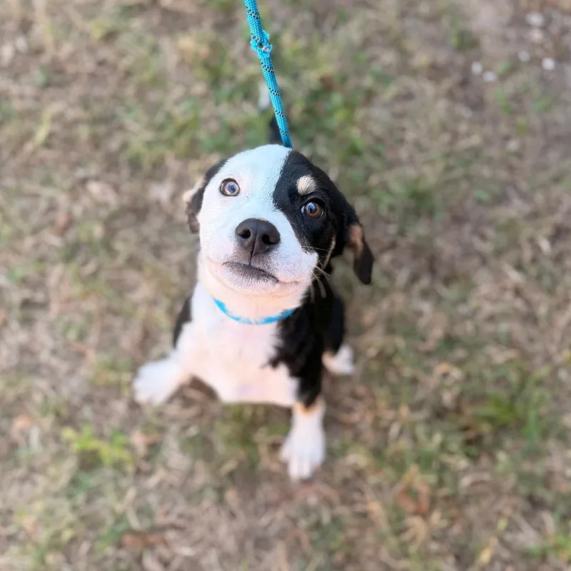 Georgieann thumbnail 4