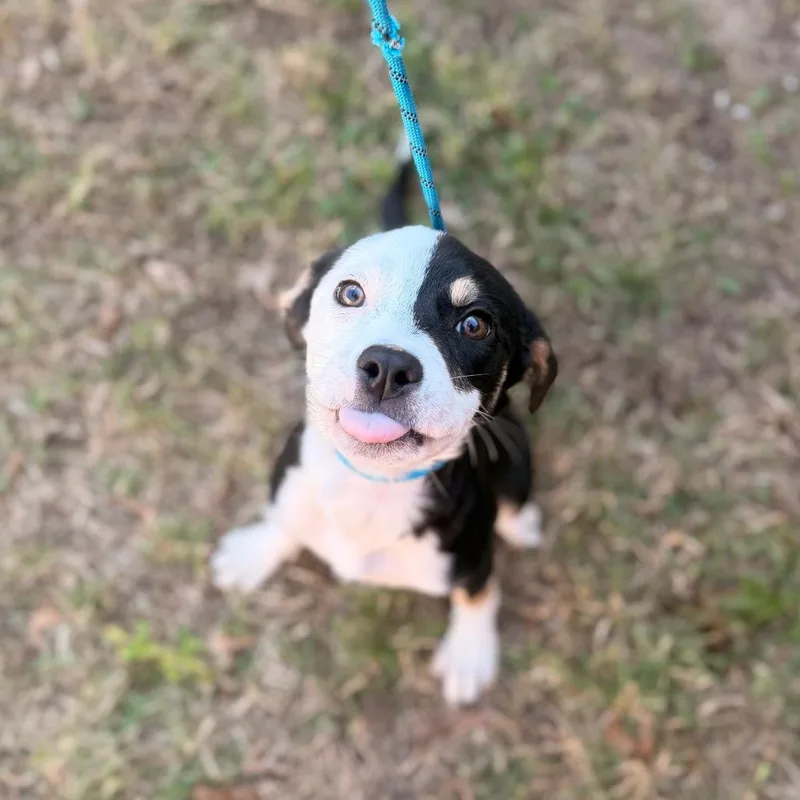 Georgieann thumbnail 5