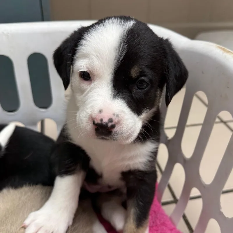 Georgieann thumbnail 6