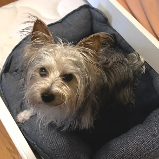 Rocket Ship thumbnail 2