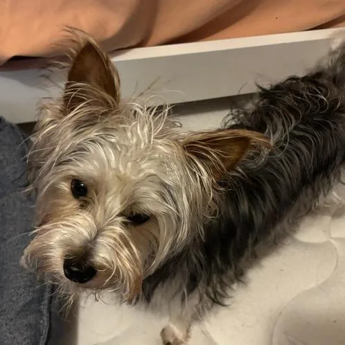 Rocket Ship thumbnail 3