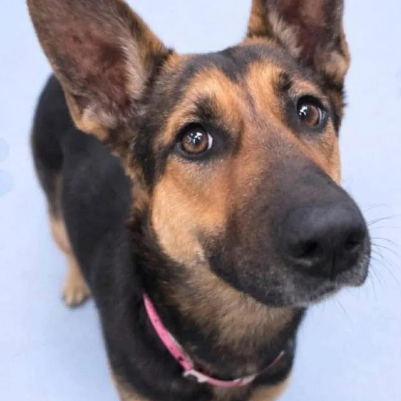 Sunstorm thumbnail 2