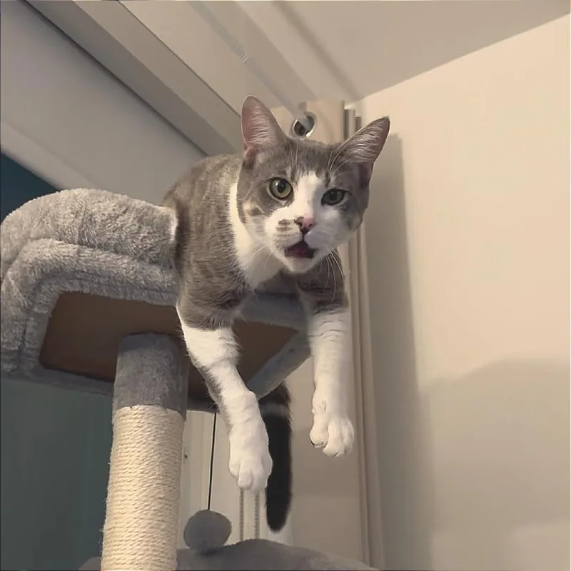 Fernando Colunga thumbnail 3