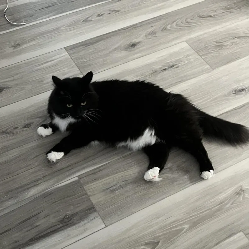 Storm  Home To thumbnail 2