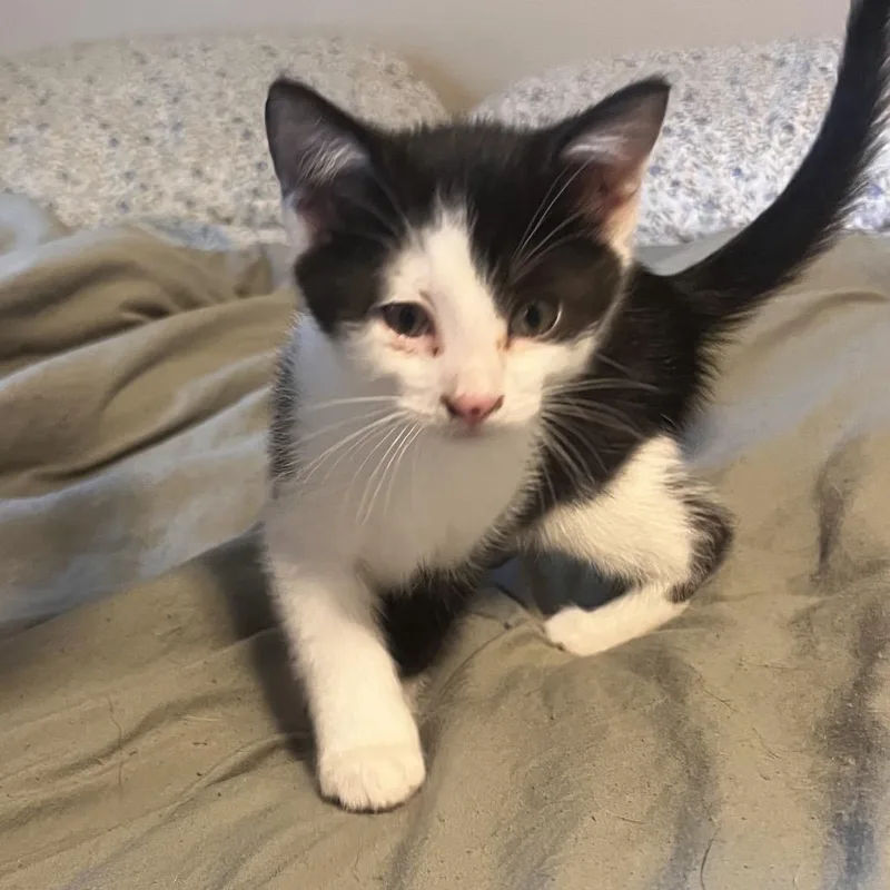 Matilda
