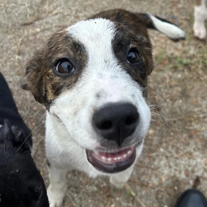 Kate thumbnail 3
