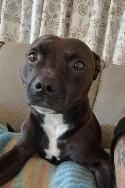 Kona