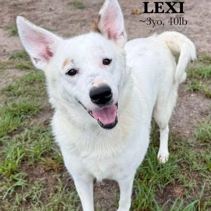 Lexi thumbnail 2