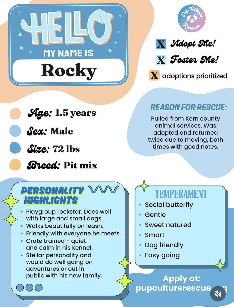 Rocky thumbnail 6
