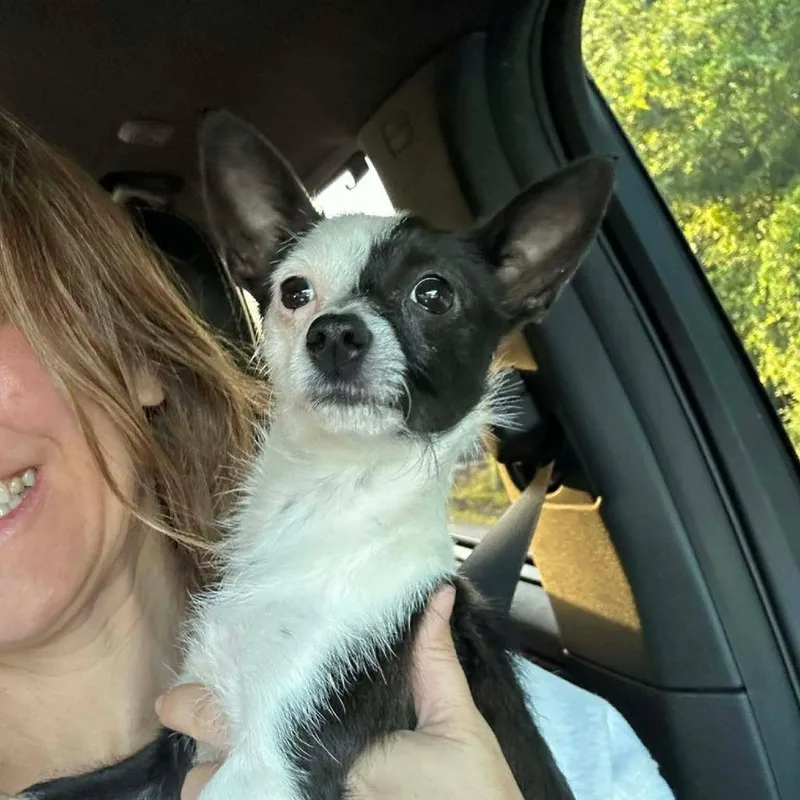 Pepper Arriving  D thumbnail 2