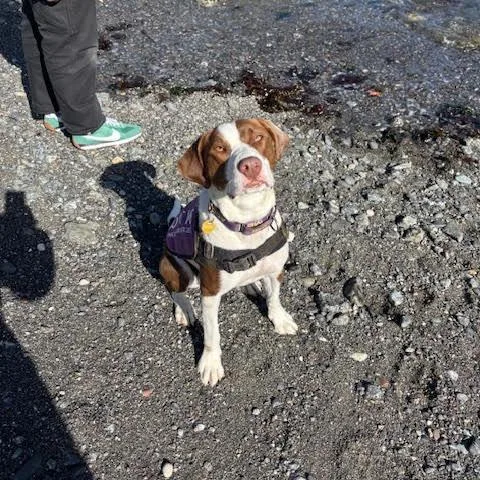 Fiona