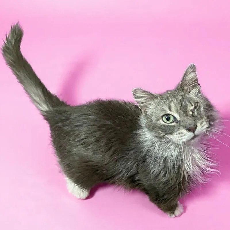 Strategy thumbnail 2