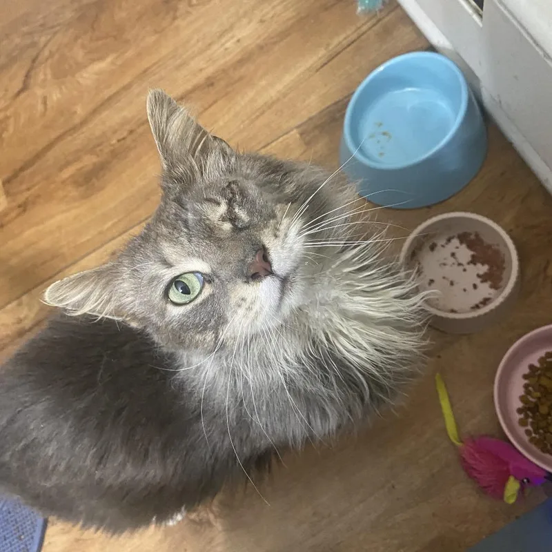 Strategy thumbnail 3