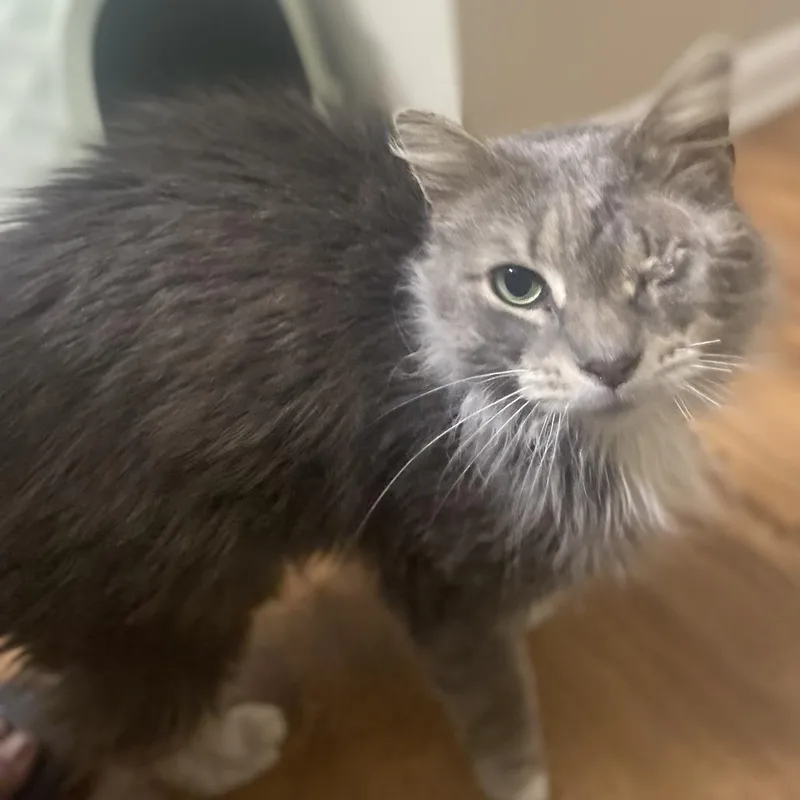 Strategy thumbnail 4