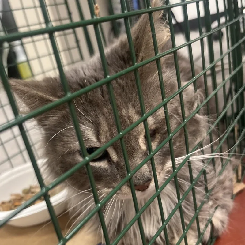 Strategy thumbnail 5