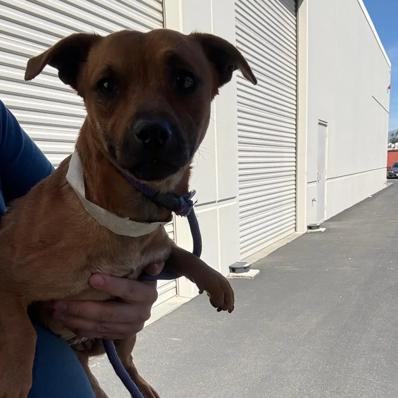 Cinnamon City Of Industry