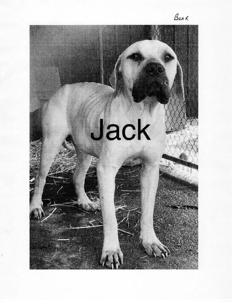 Jack D thumbnail 2