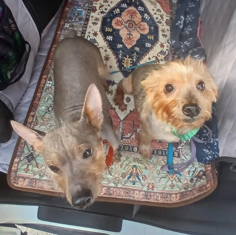 Brandy & Joe thumbnail 3