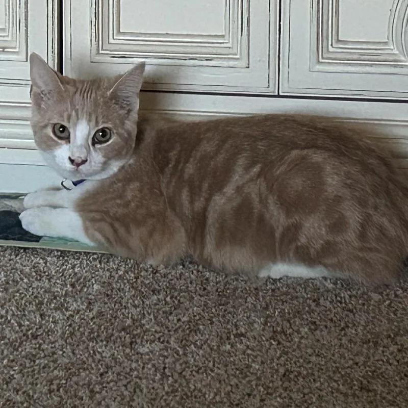 Sebastian