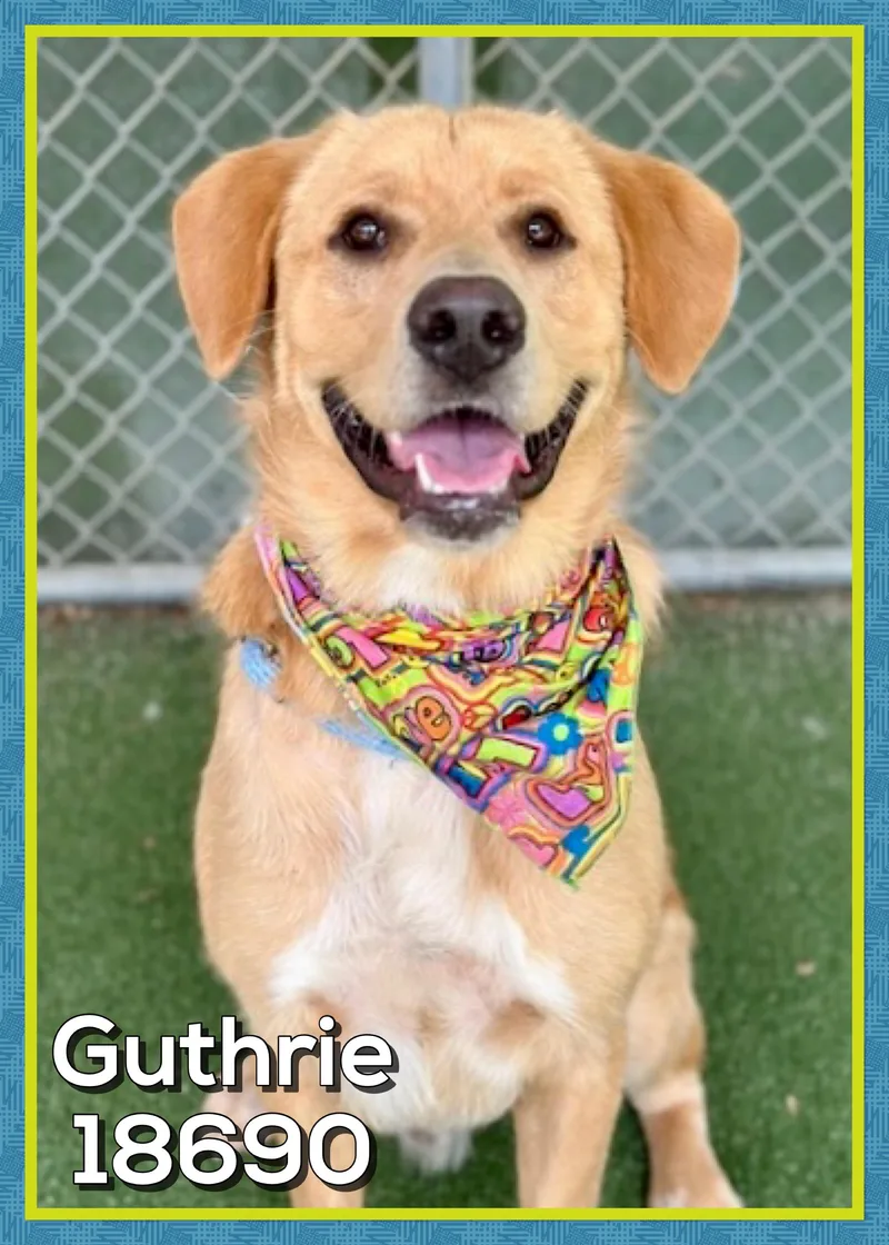 Guthrie