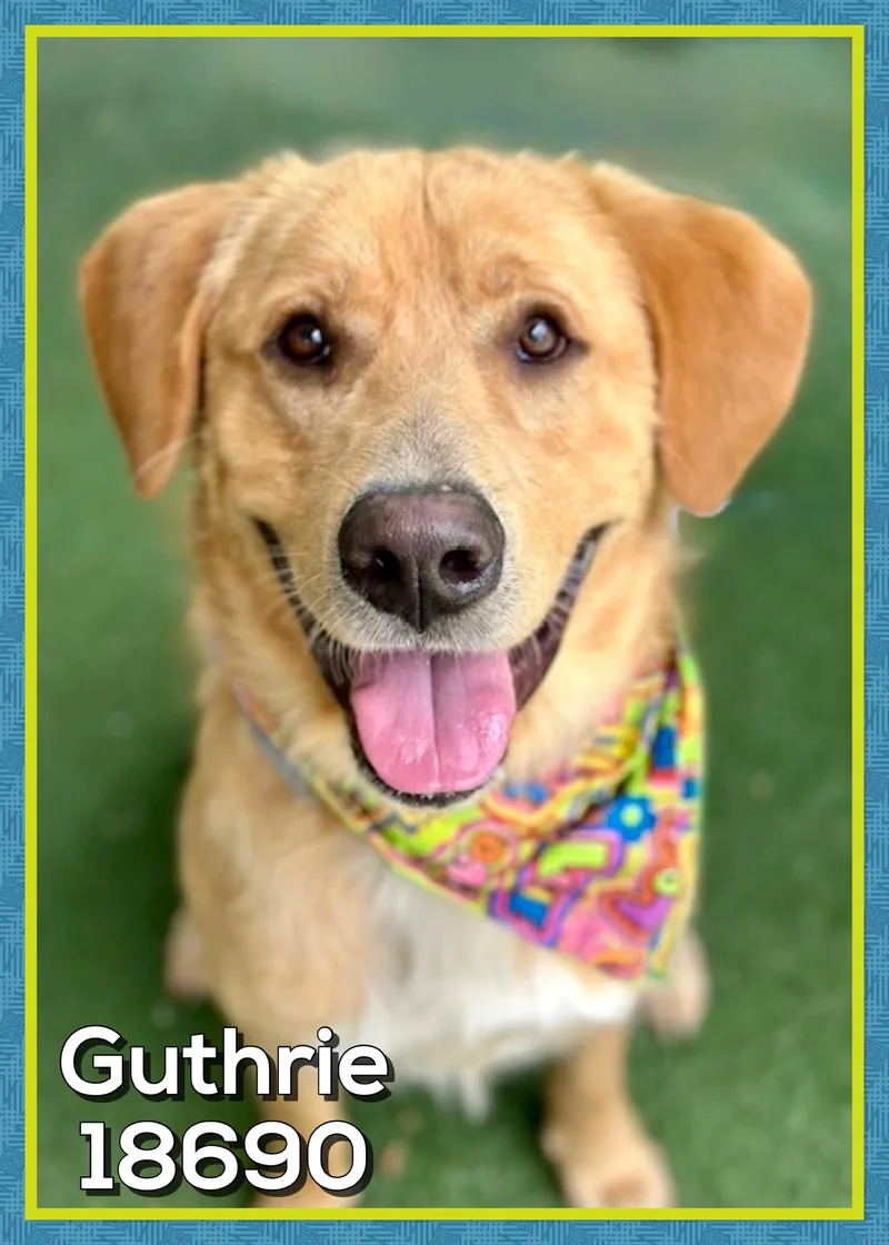 Guthrie thumbnail 4