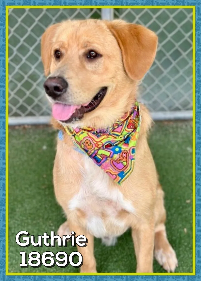 Guthrie thumbnail 5