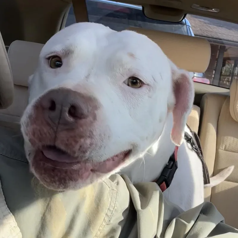 Freckles thumbnail 2