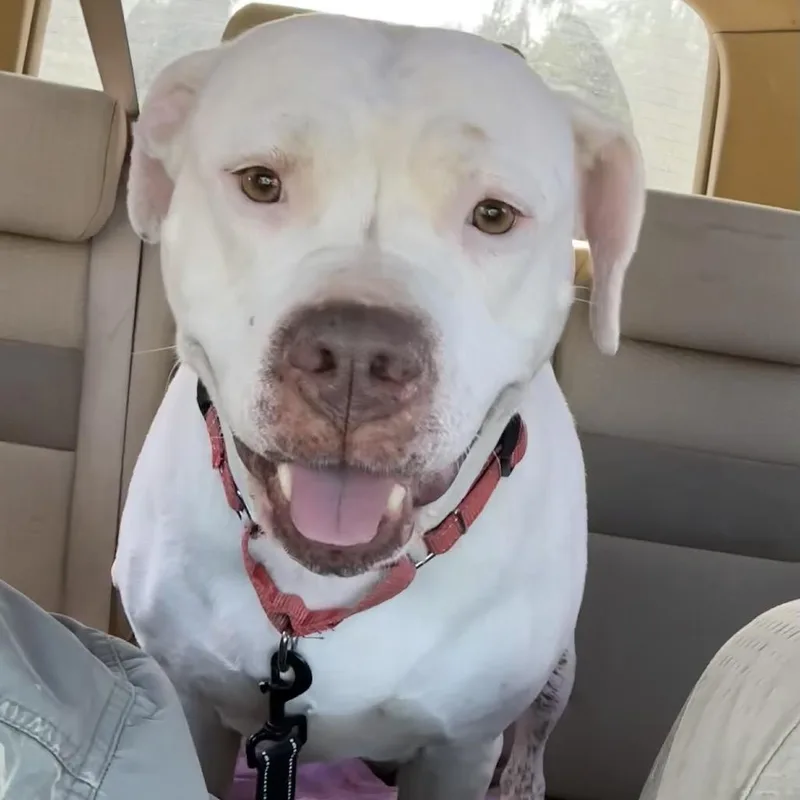 Freckles thumbnail 3