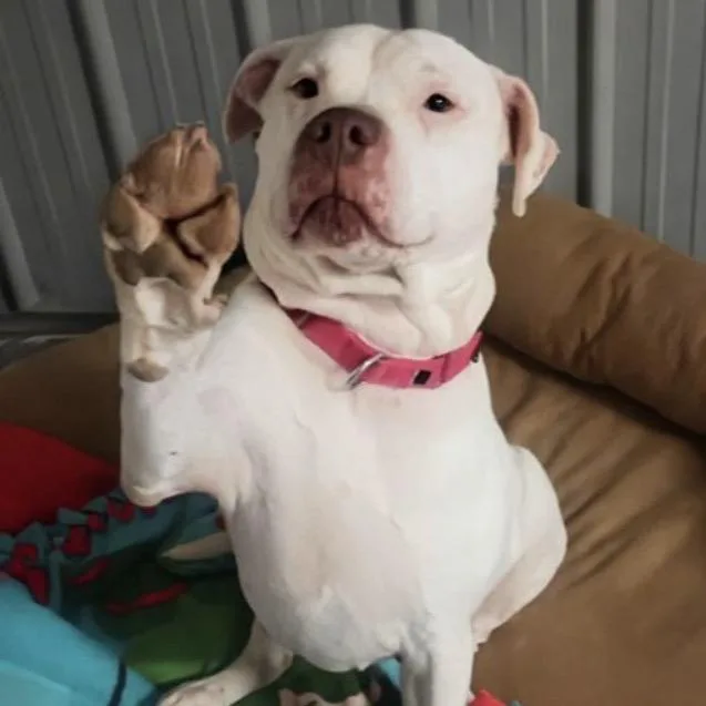 Freckles thumbnail 4