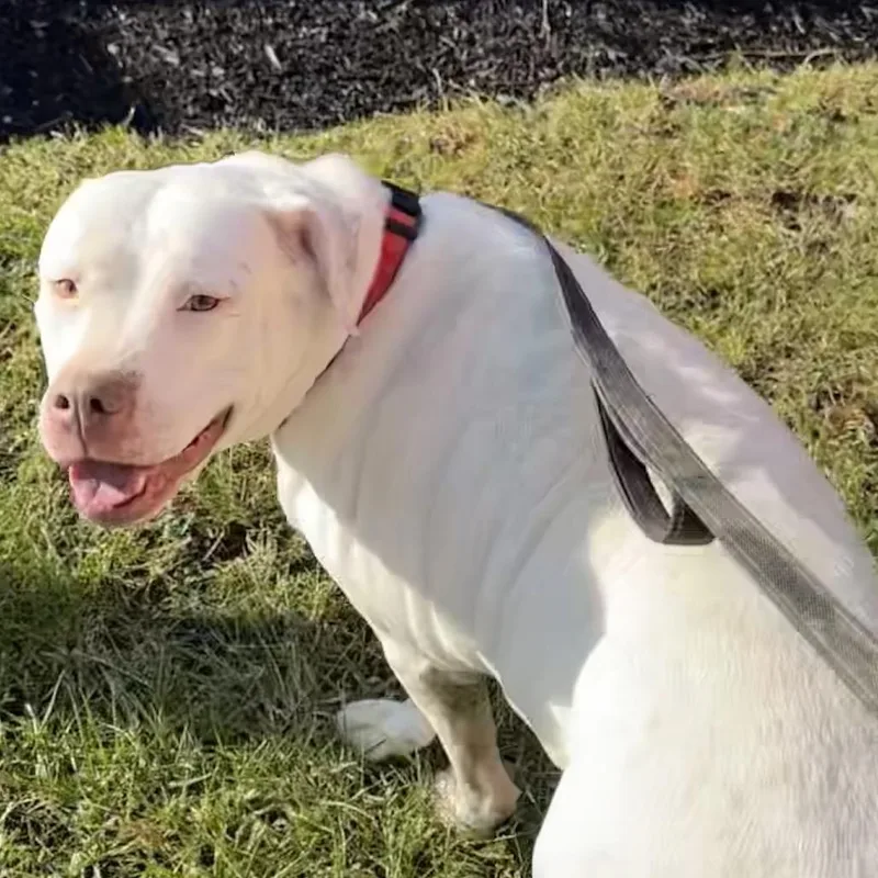 Freckles thumbnail 6