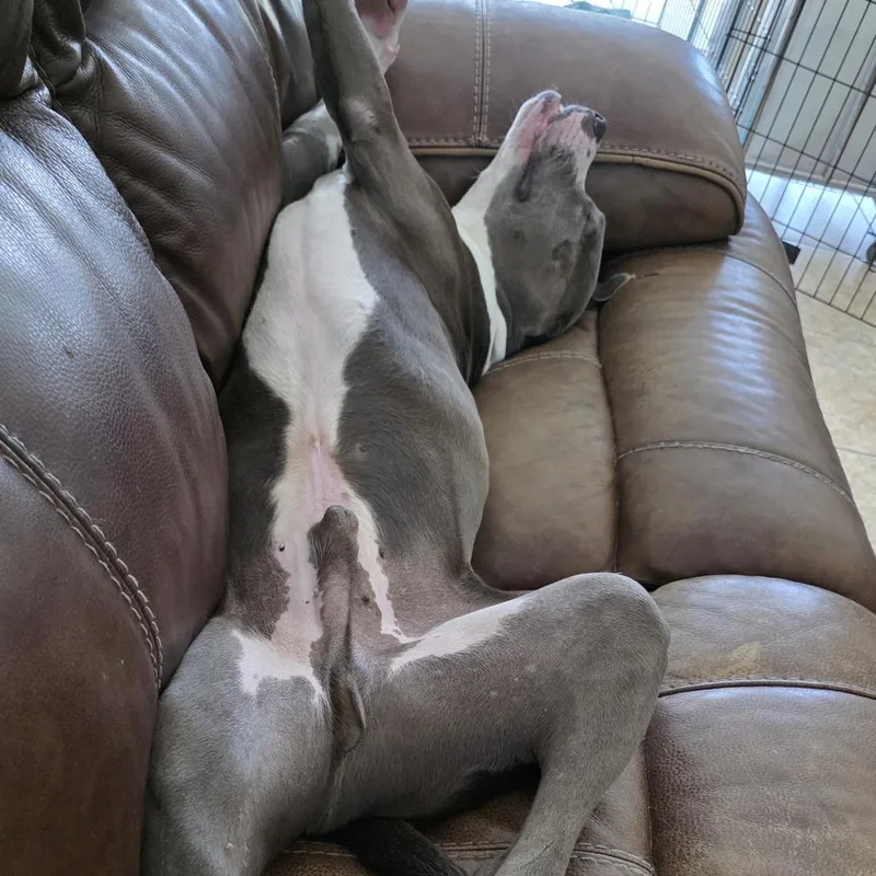 Chef Crawdad thumbnail 5