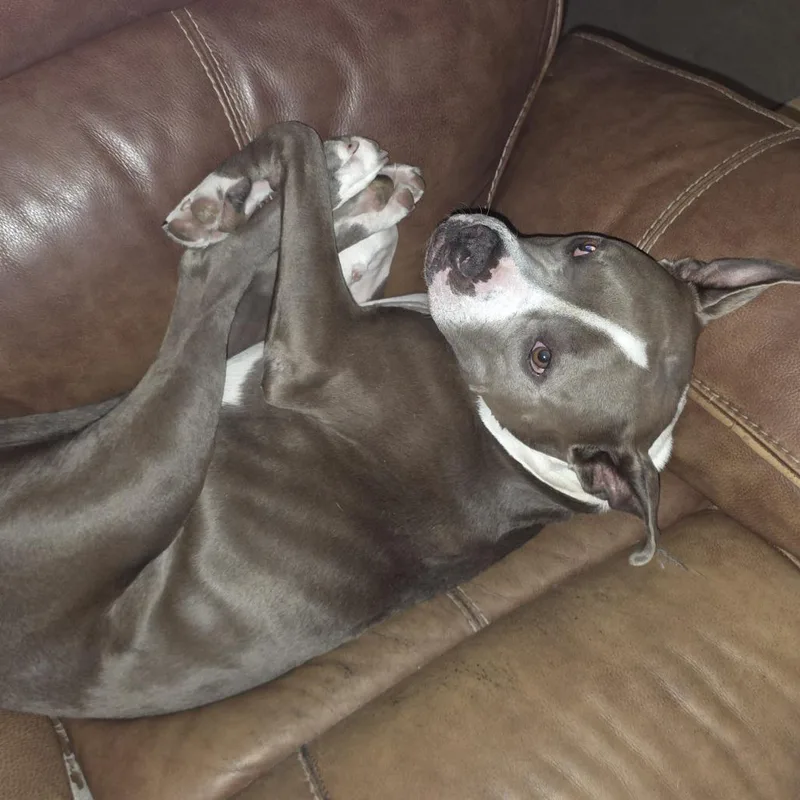 Chef Crawdad thumbnail 6