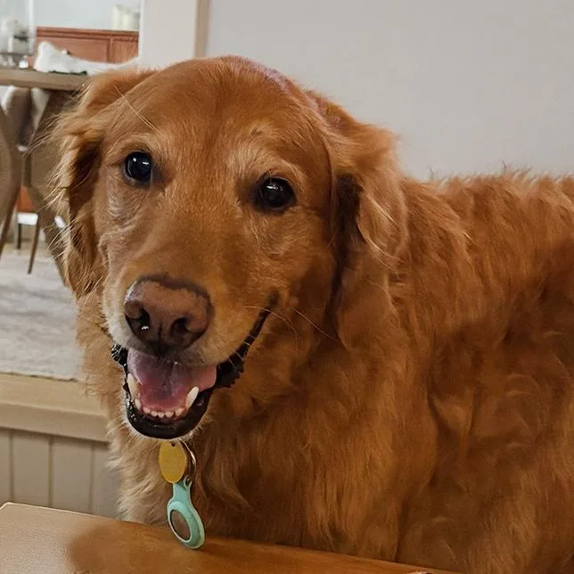 Cooper thumbnail 2