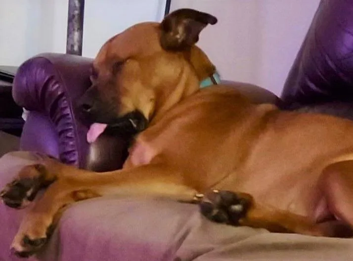 Lorraine thumbnail 2