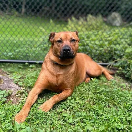 Lorraine thumbnail 3