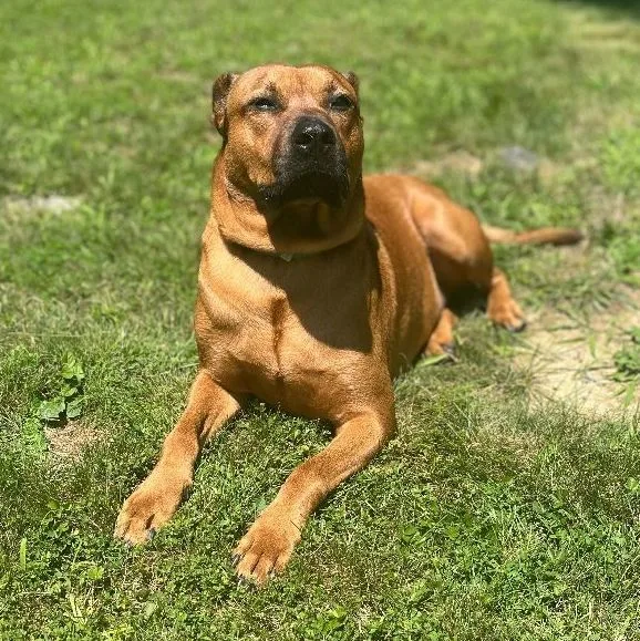 Lorraine thumbnail 4