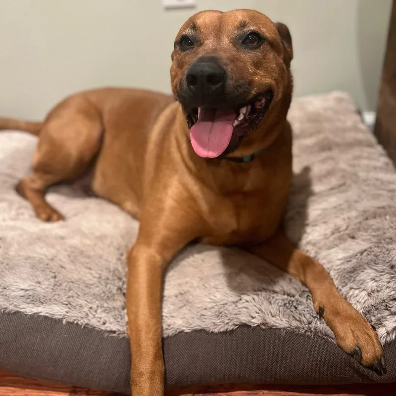 Lorraine thumbnail 5