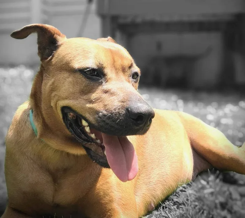 Lorraine thumbnail 6