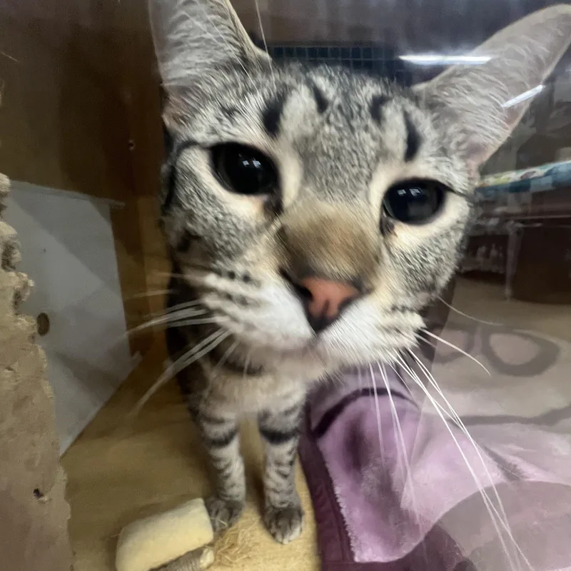 Ladybird & Sylvia thumbnail 2