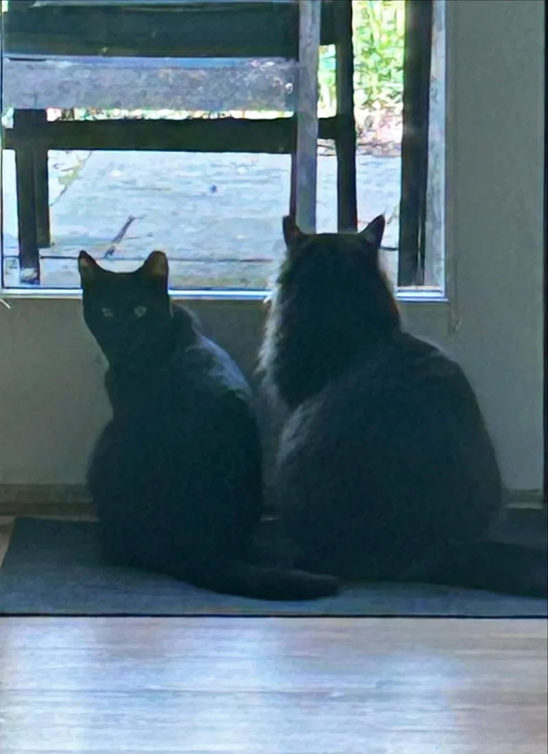 Kleo And Leo