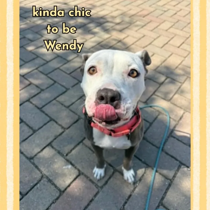Wendy thumbnail 4