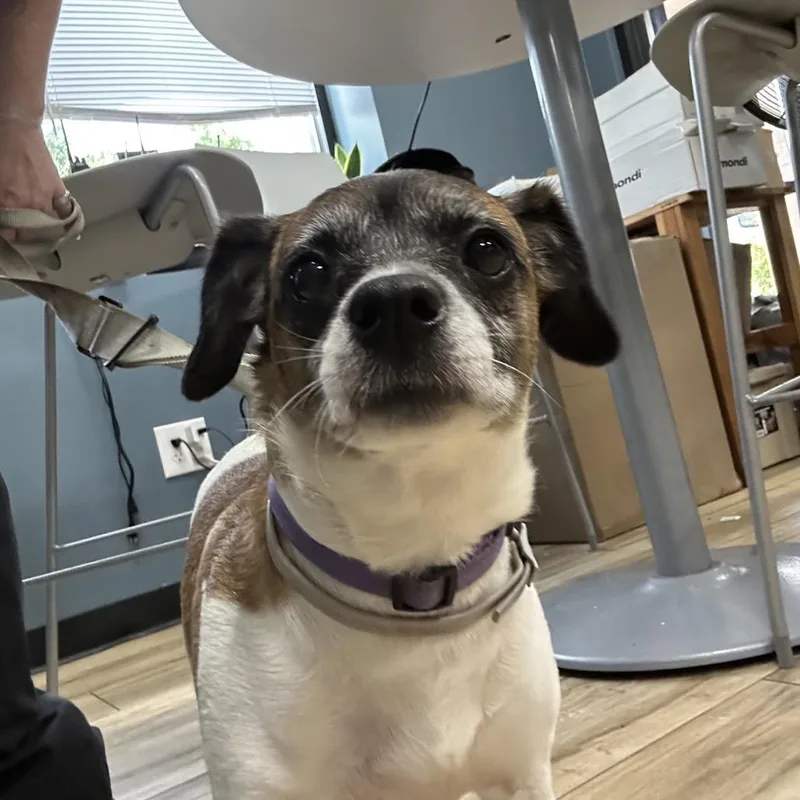 Lola thumbnail 2