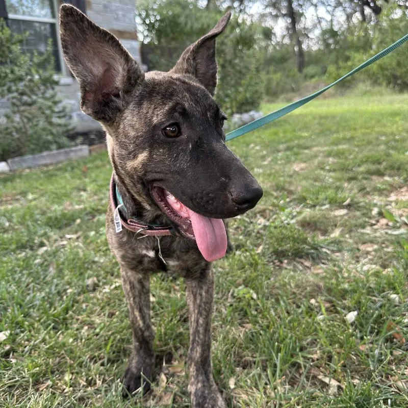 Wendy Jum thumbnail 3