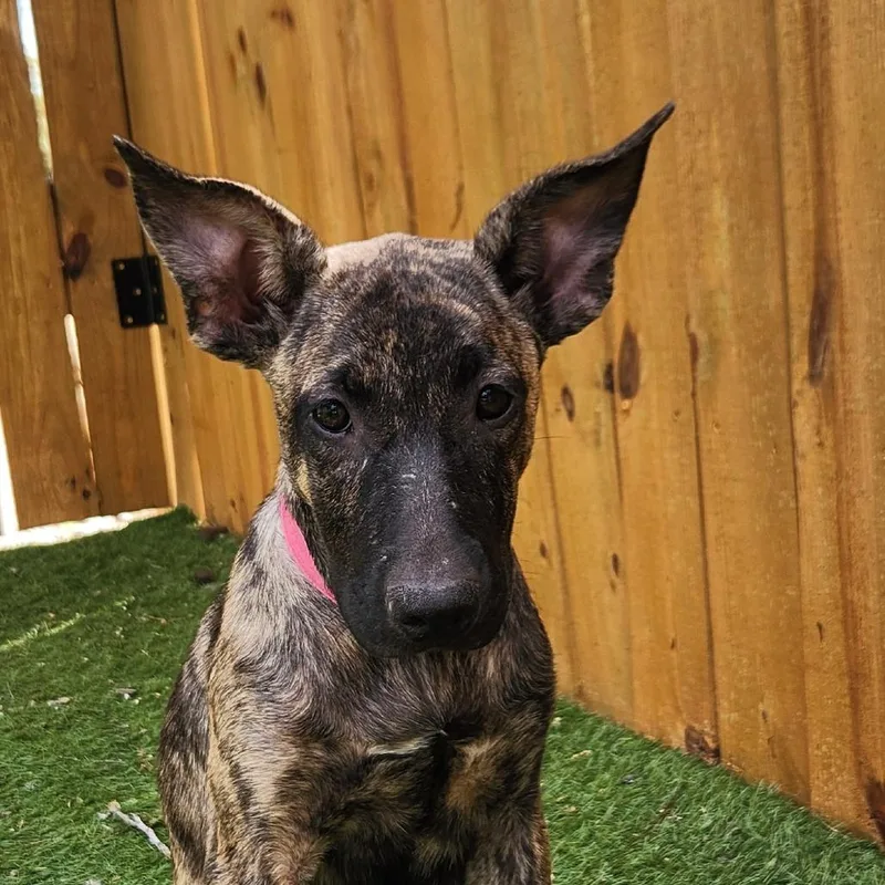 Wendy Jum thumbnail 4