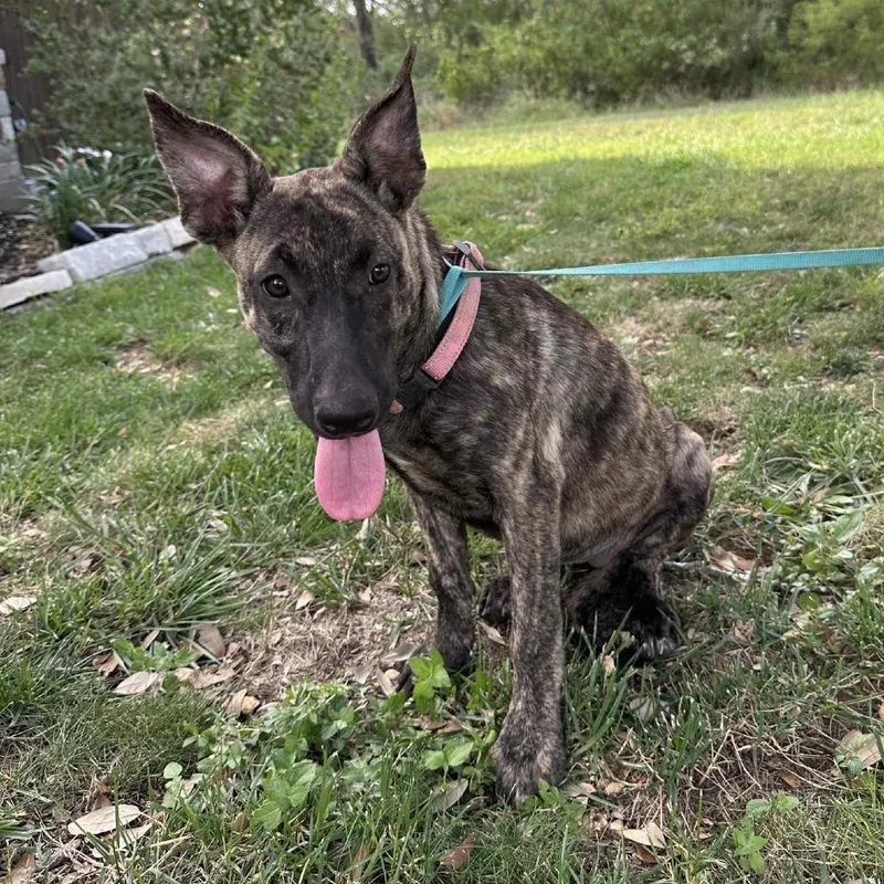 Wendy Jum thumbnail 5