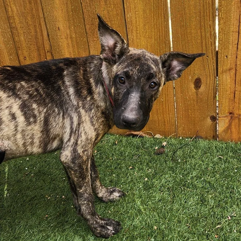 Wendy Jum thumbnail 6