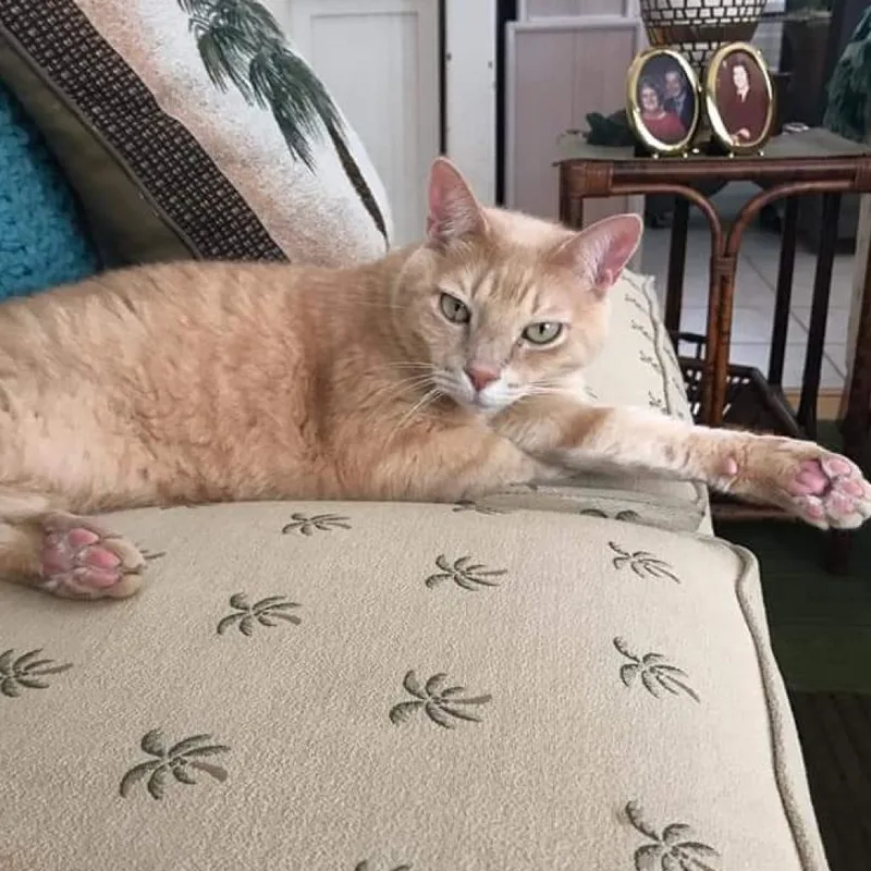 Rusty