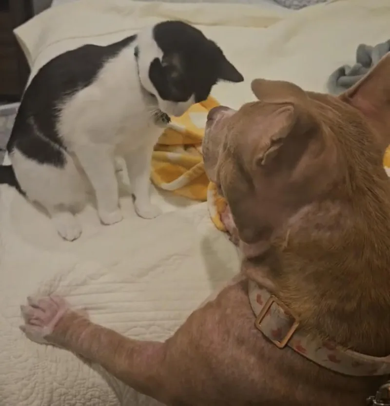 Matilda "tilly" thumbnail 2